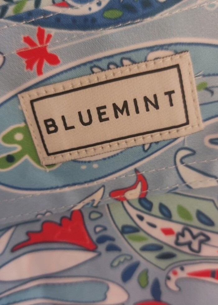 Bluemınt deniz şortu - Görsel 5