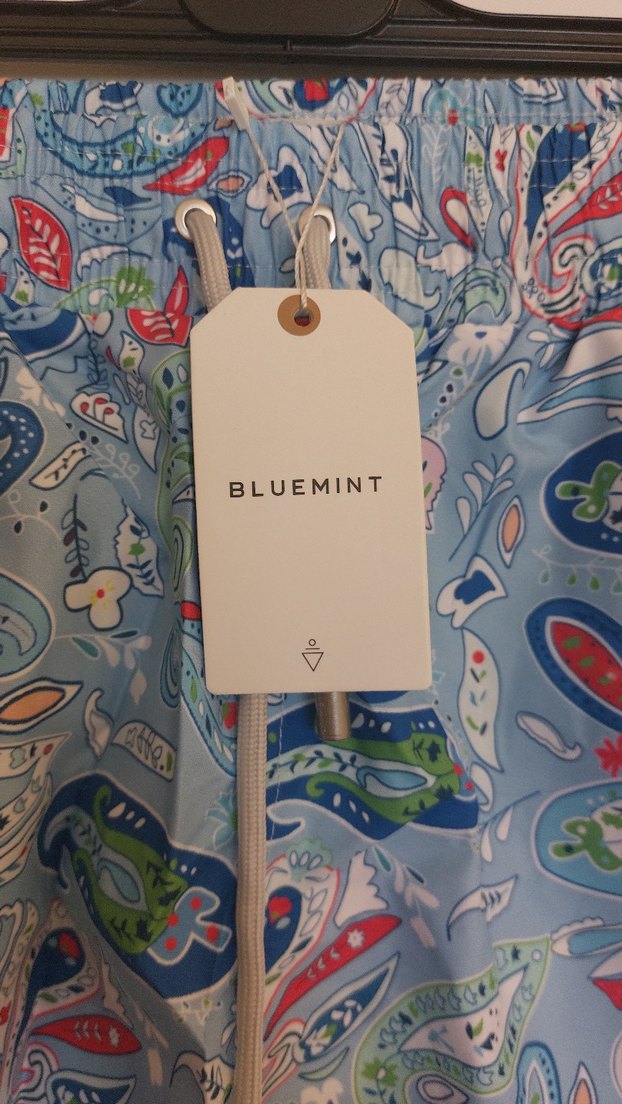 Mavi Desenli Bağcıklı Erkek Şort - Görsel 2