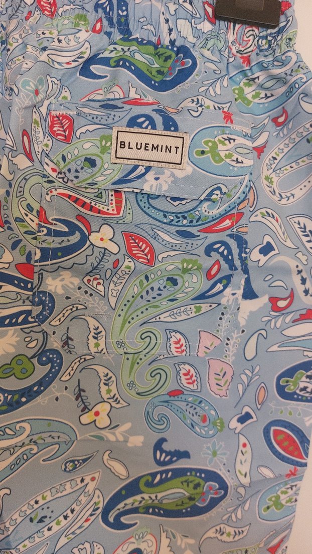 Mavi Desenli Bağcıklı Erkek Şort - Görsel 5