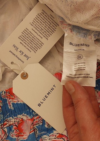 bluemint erkek şort - Görsel 12