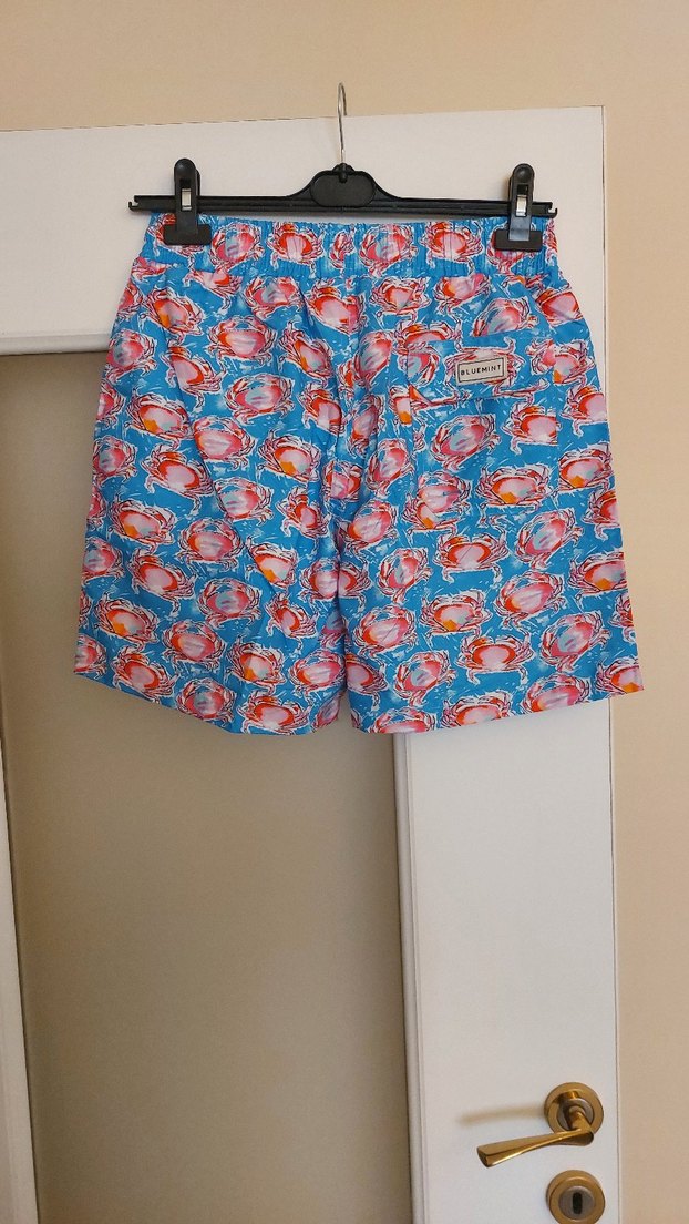bluemint erkek şort - Görsel 5