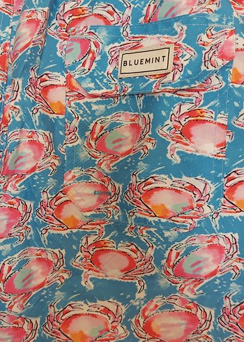 bluemint deniz şortu - Görsel 7