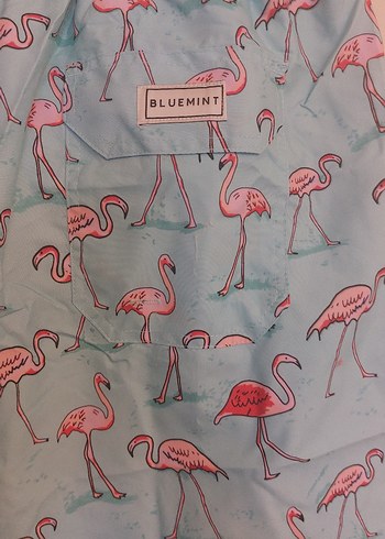 Flamingo Desenli Erkek şort - Görsel 6