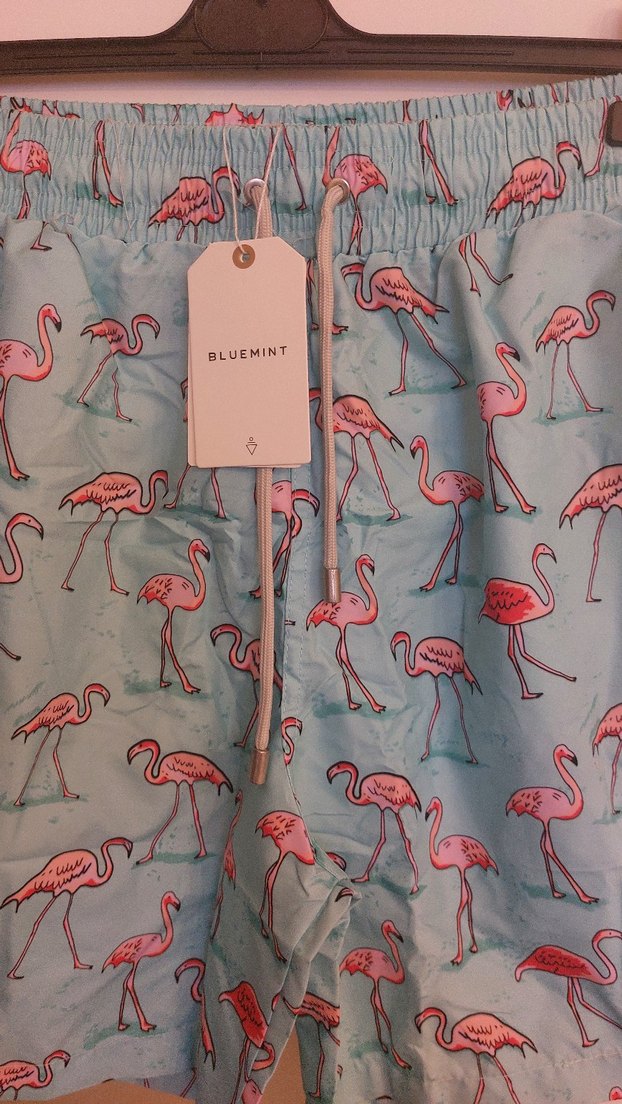 Flamingo Desenli Erkek şort - Görsel 3