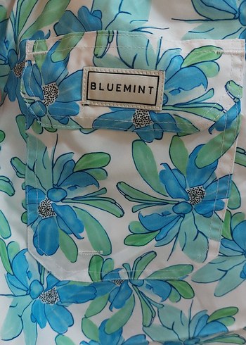 bluemınt deniz şortu - Görsel 6