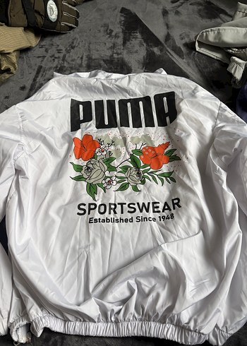 Puma m