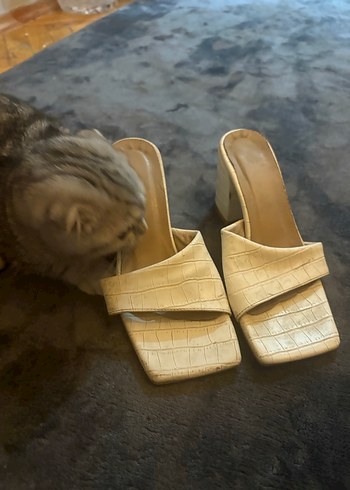 Bej Yılan Desenli Tokalı Kadın Terlik - Görsel 3