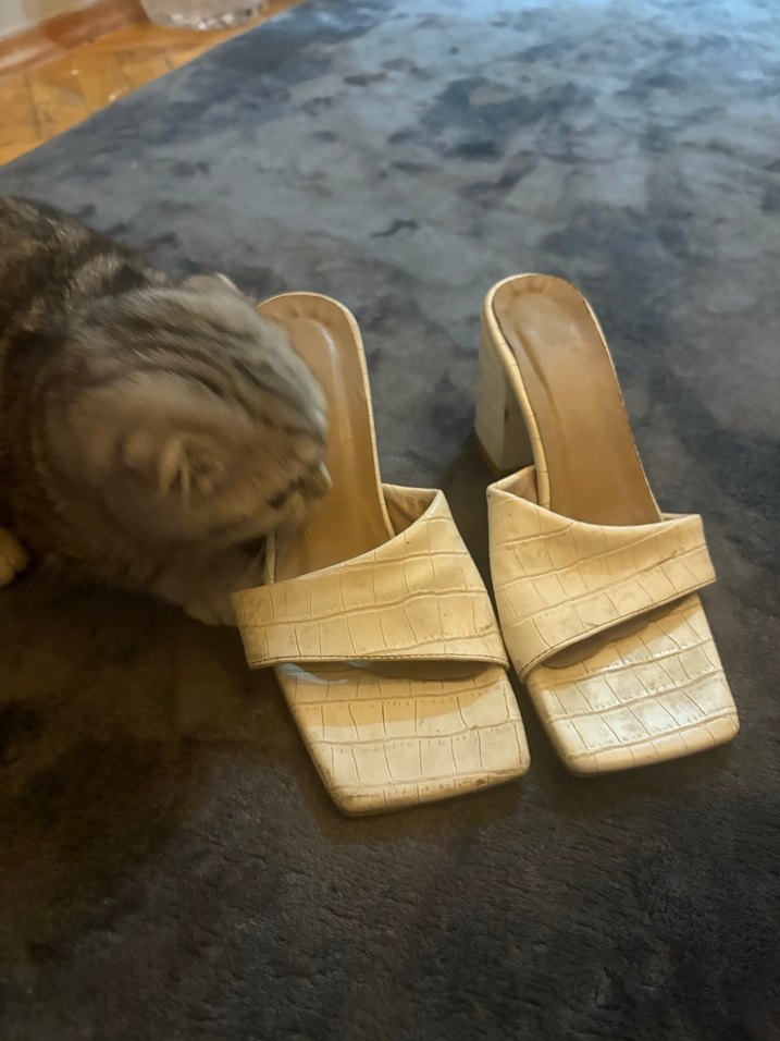 Bej Yılan Desenli Tokalı Kadın Terlik - Görsel 3