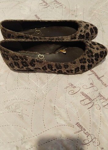 37 Beden Leopar babet