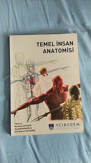 Temel insan anatomisi kitabı