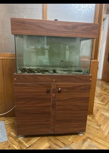 Beden Renk Mobilyalı akvaryum