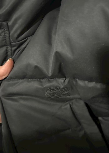 Lacoste Siyah Kapüşonlu Lacoste erkek mont