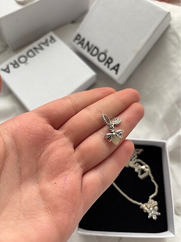 Beden Pandora Charm ve Kolye