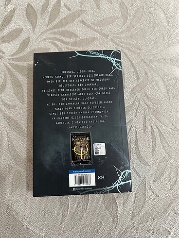 Buz Kapanı - Alexandra Bracken