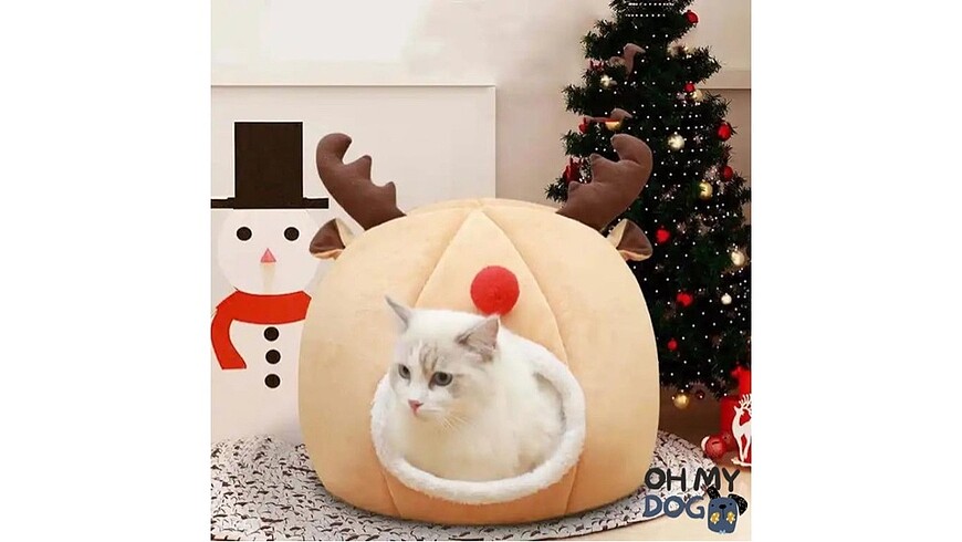  Beden Kedi köpek evi