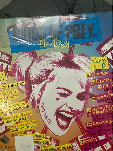 Diğer Birds of prey plak