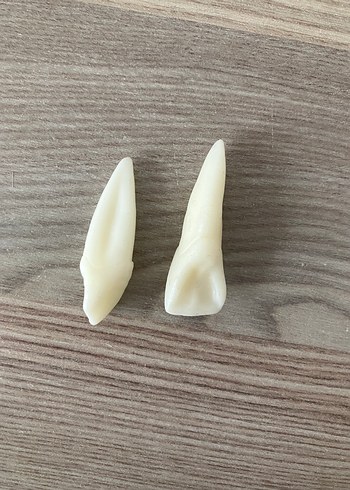 Anatomik diş mum modelleri