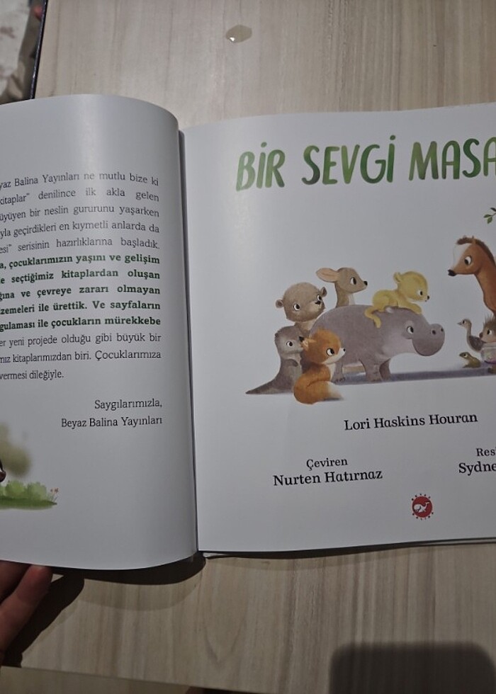 Kalın kapaklı çocuk kitabı - Görsel 3