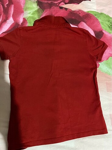 Us polo kırmızı yakalı lakos tshirt - Görsel 4