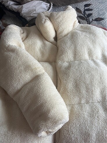 teddy mont