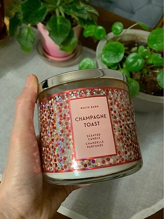 Bath & Body buyuk mum champagne toast