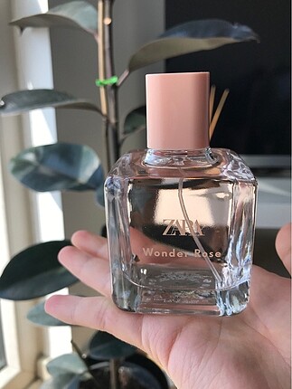 Zara wonder rose parfüm 100 ml