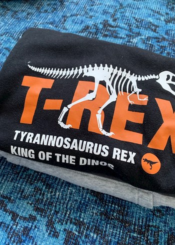 Hm Erkek Çocuk Sweatshirt - Görsel 6