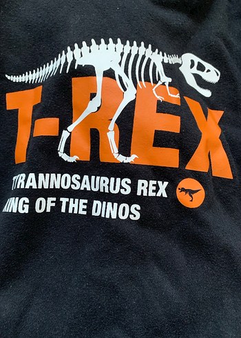 Hm Erkek Çocuk Sweatshirt - Görsel 5