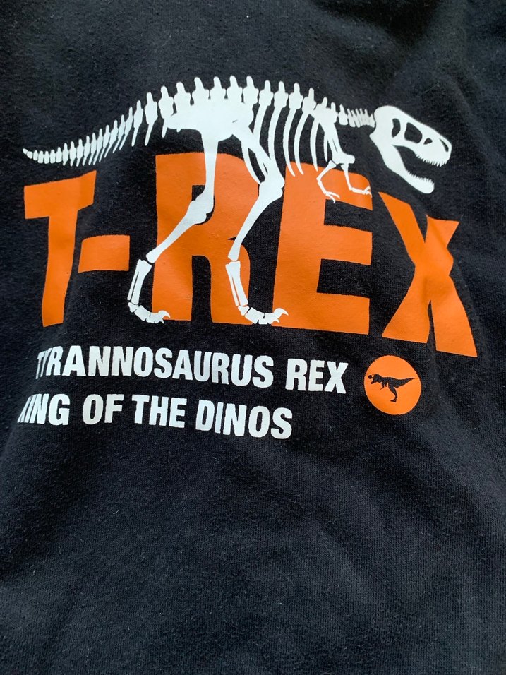 Hm Erkek Çocuk Sweatshirt - Görsel 5