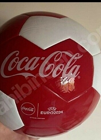Futbol topu 