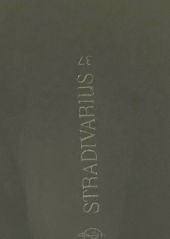 Siyah Deri Tokalı Dizüstü Bot - Görsel 5