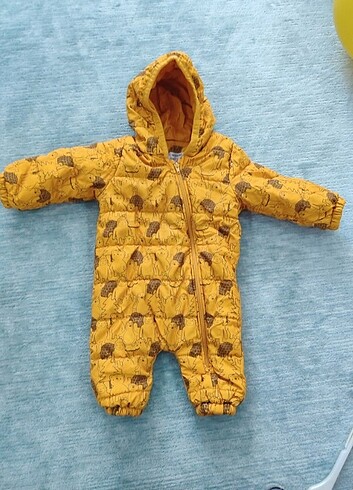 Bebek astronot