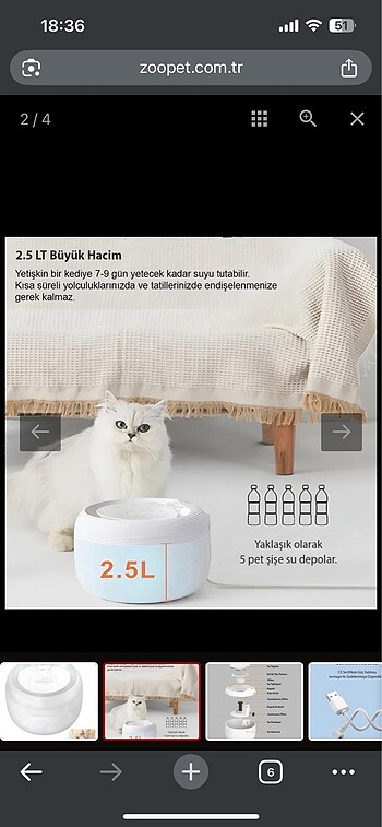 Kedi köpek su pınarı su şelalesi