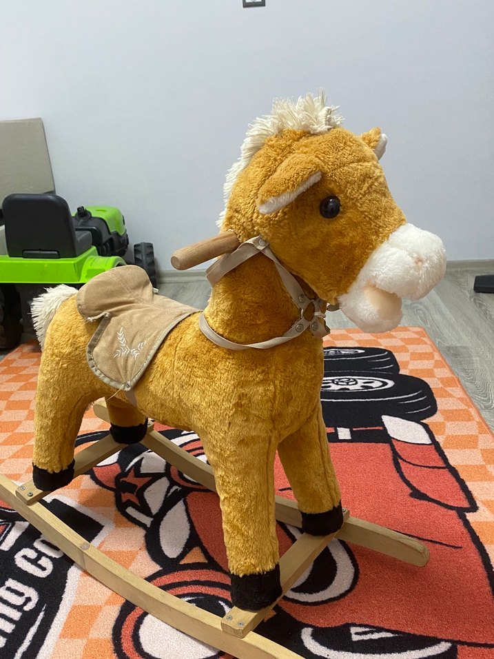 Sallanan At - Görsel 2