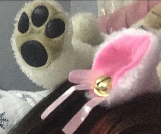 Cosplay Kedi Kulagi Toka