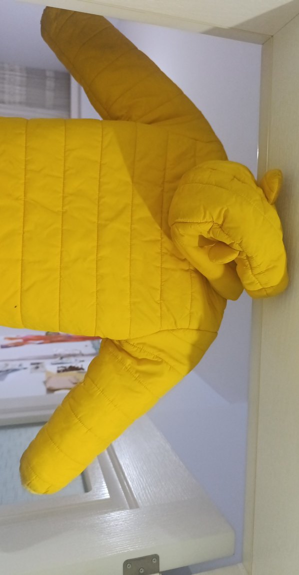 Sarı Erkek Çocuk Fermuarlı Mont - Görsel 3