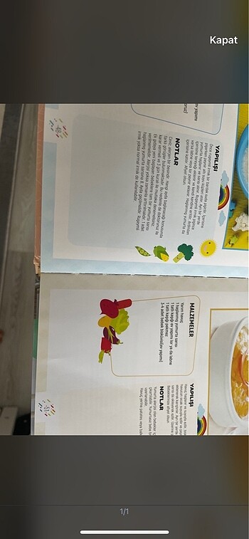  Beden Renk Bebek ek gıda kitabı