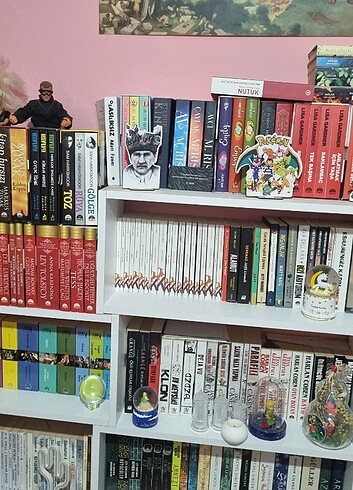 Roman kitap