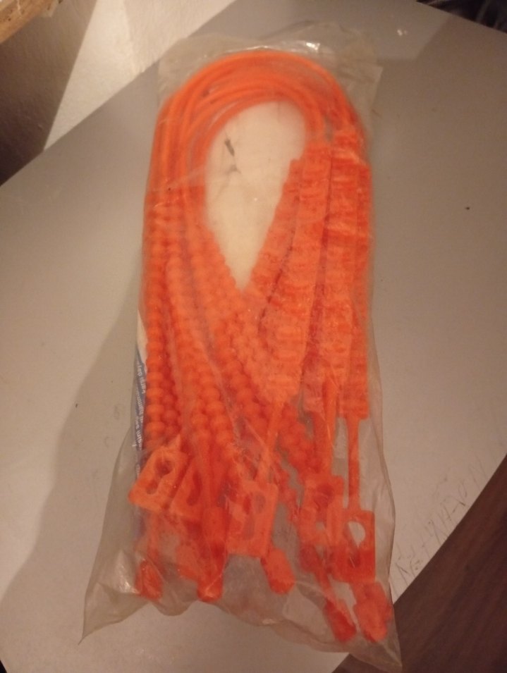 Turuncu karkit - Görsel 2