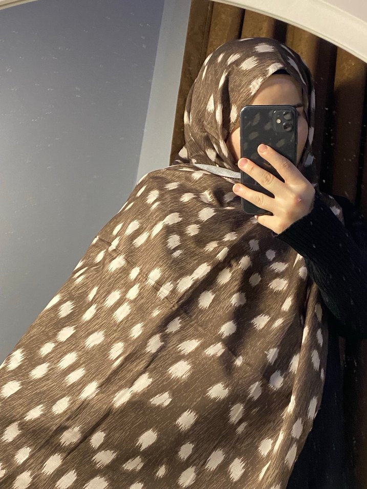 Kahverengi Ceylan Desenli Kadın Şal - Görsel 3