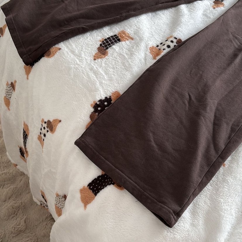 Alo Yoga Eşofman Altı - Görsel 2