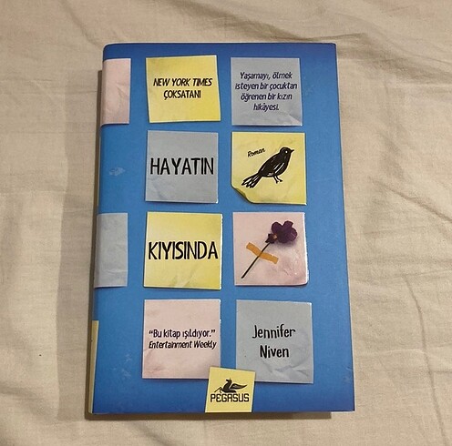 Hayatın kıyısında