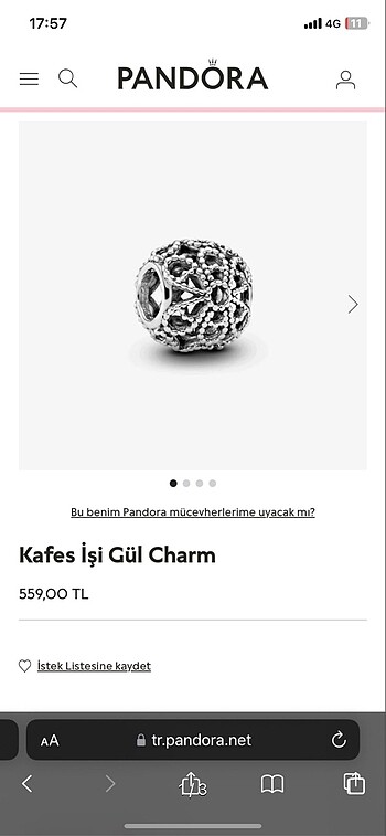 pandora charm