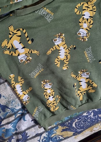 Erkek Çocuk Kaplan Baskılı Eşofman Takımı - Görsel 6