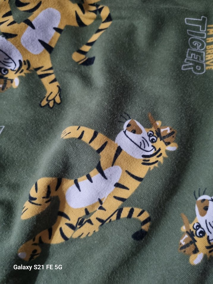 Erkek Çocuk Kaplan Baskılı Eşofman Takımı - Görsel 5