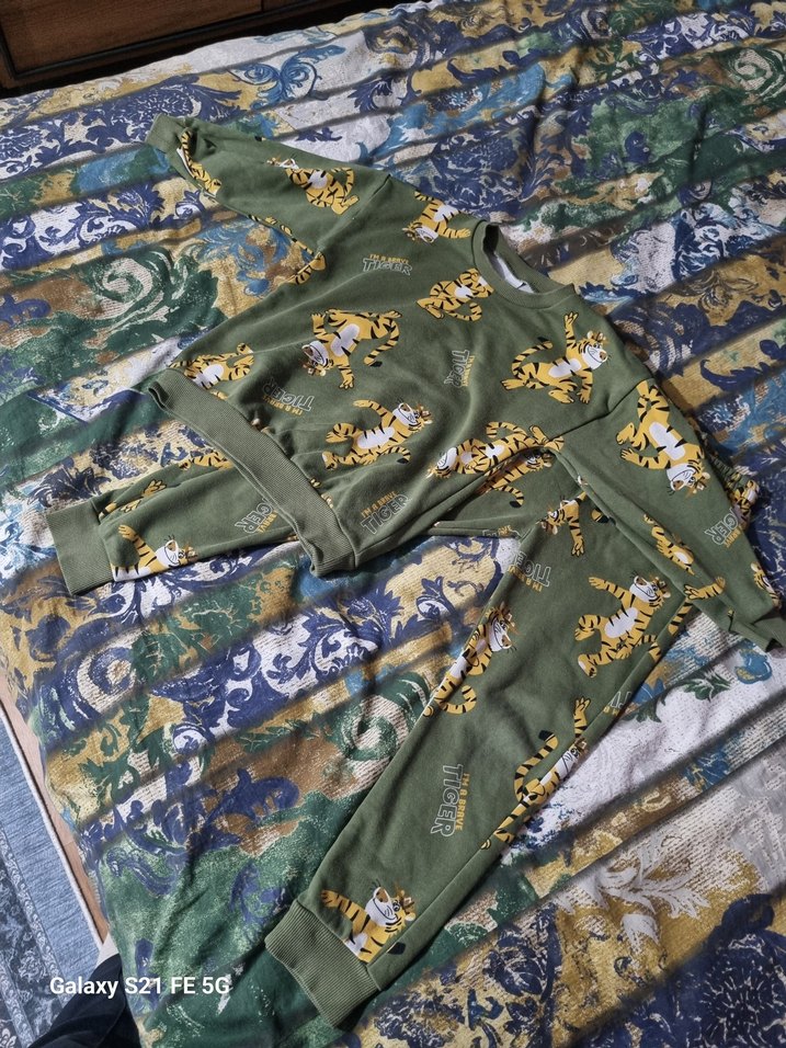 Erkek Çocuk Kaplan Baskılı Eşofman Takımı - Görsel 3