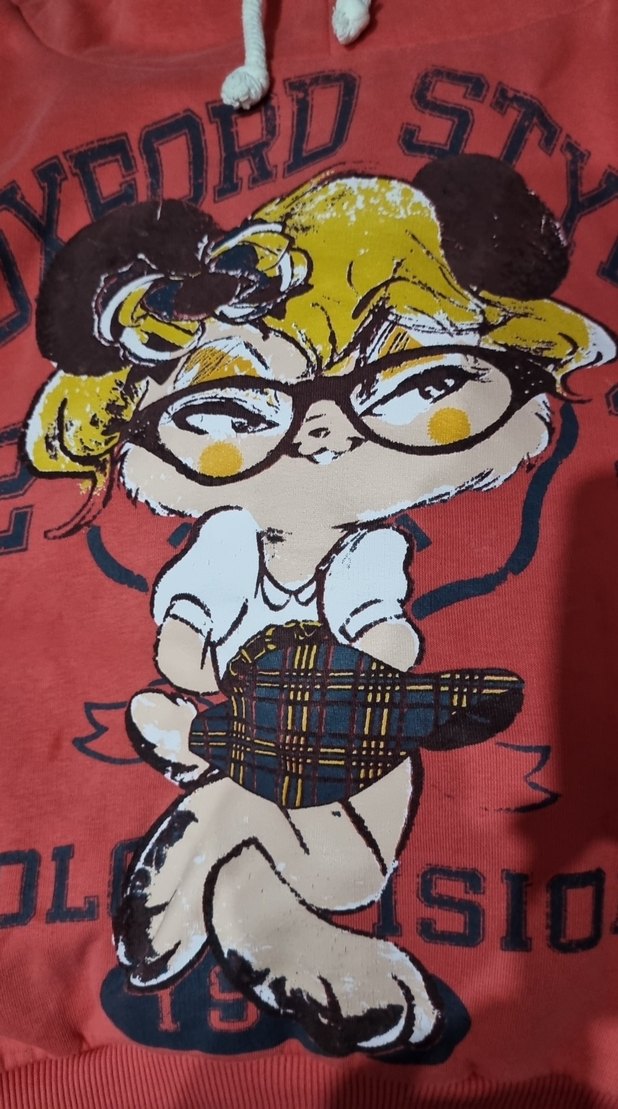 Kız Çocuk Kapüşonlu Baskılı Sweatshirt - Görsel 4