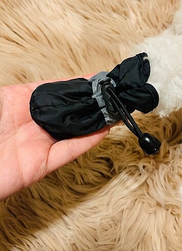  Köpek patiği