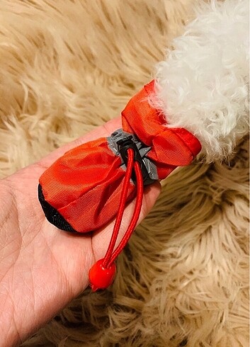 Beden Köpek patiği