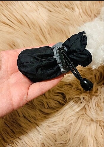  Köpek ayakkabısı